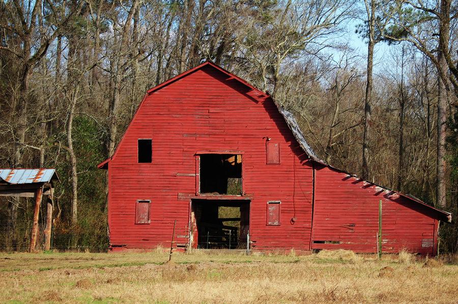 Weathered Red Barn Photograph by Cynthia Guinn
