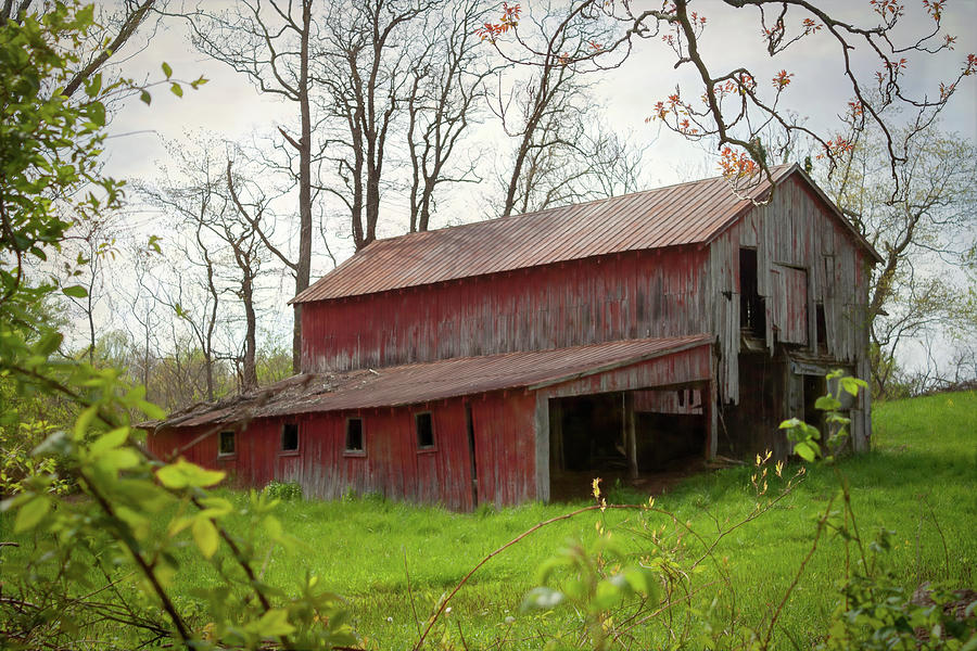 Weathered Red Photograph by David Beard | Fine Art America