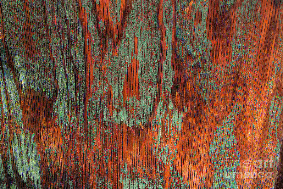 Weathered Siding on Old Cabin Photograph by Kae Cheatham