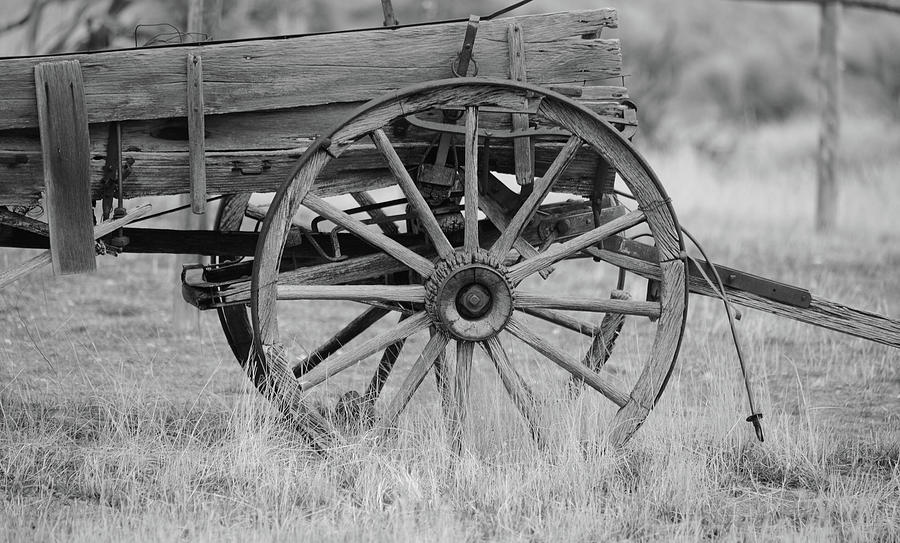 Weathered Wheel Photograph by Whispering Peaks Photography