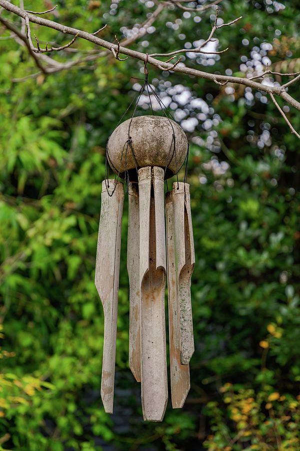 Weathered Wind Chime Photograph by Liz Albro