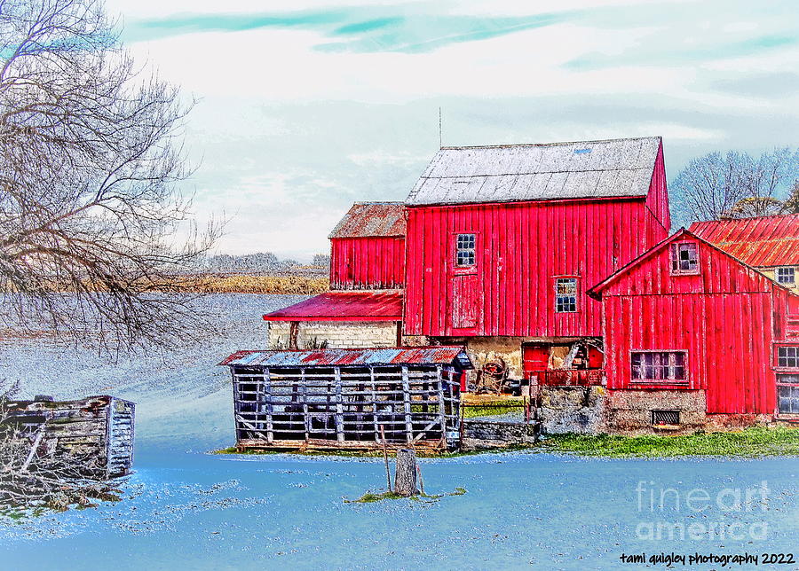 Weathered Winter Barn Photograph by Tami Quigley