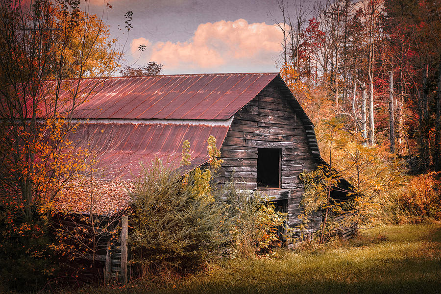 Weathered Wood Autumn Barn Photograph by Debra and Dave Vanderlaan