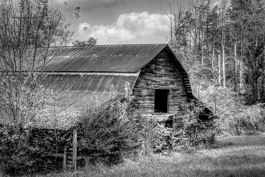 Weathered Wood Barn in Black and White  Photograph by Debra and Dave Vanderlaan