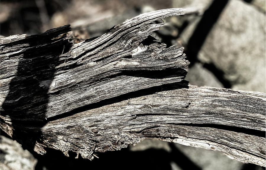 Weathered Wood Photograph by Stephen Jacoby - Fine Art America