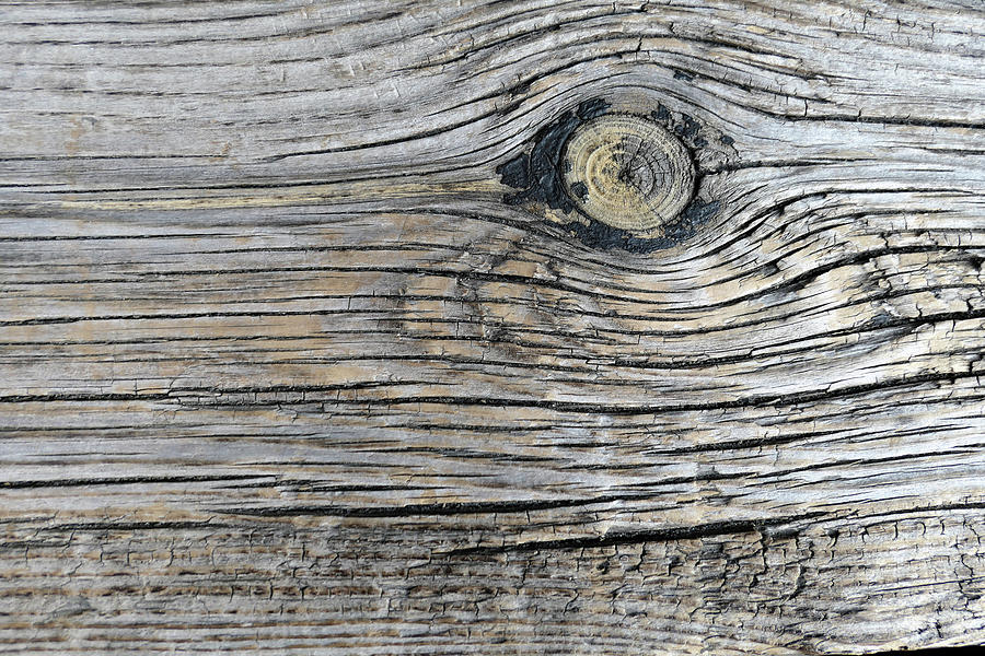 Weathered Wood Texture Background. Photograph by Art Momente - Fine Art ...