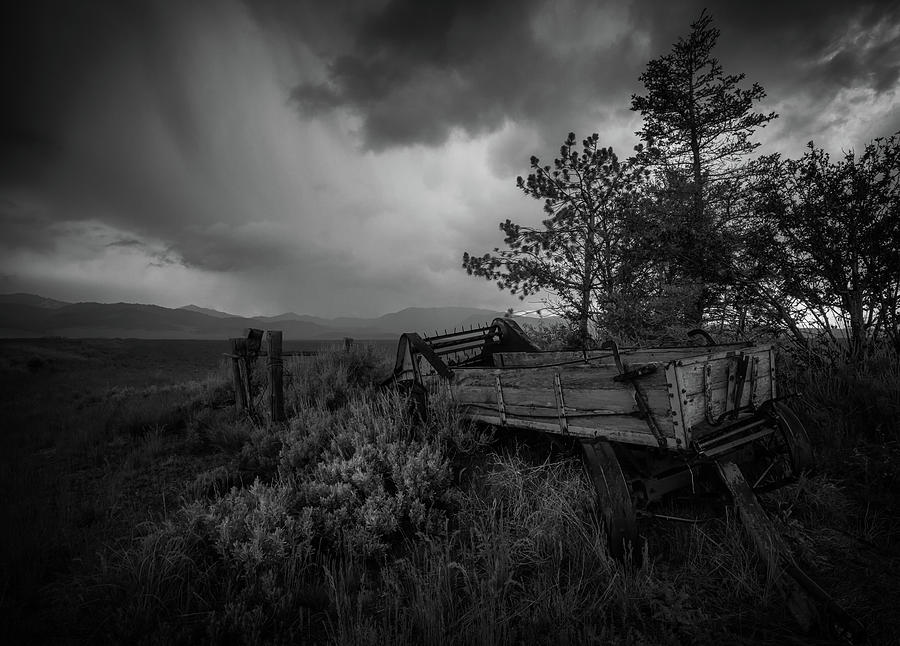 Weathering the Storm Photograph by Lance Christiansen