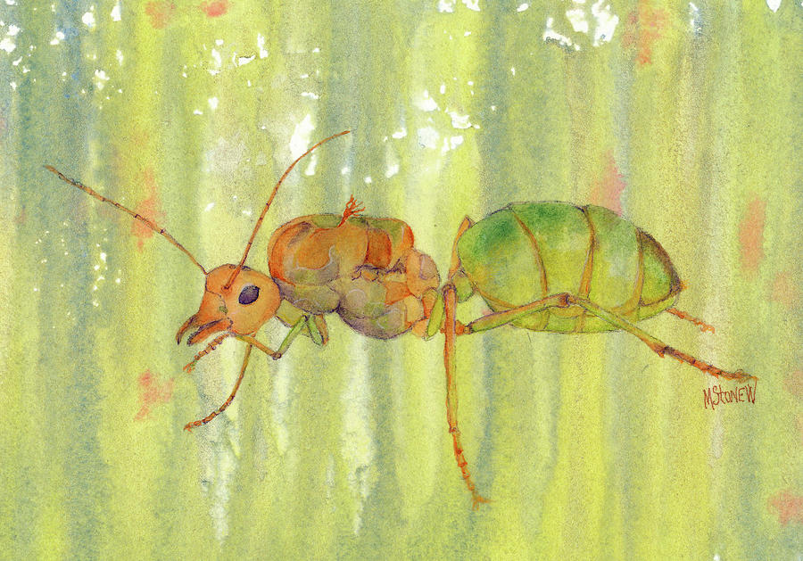 Weaver Queen Ant Painting by Marie Stone-van Vuuren