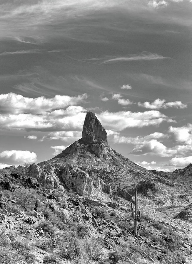 Weavers Needle in Black and White Photograph by Bob Falcone