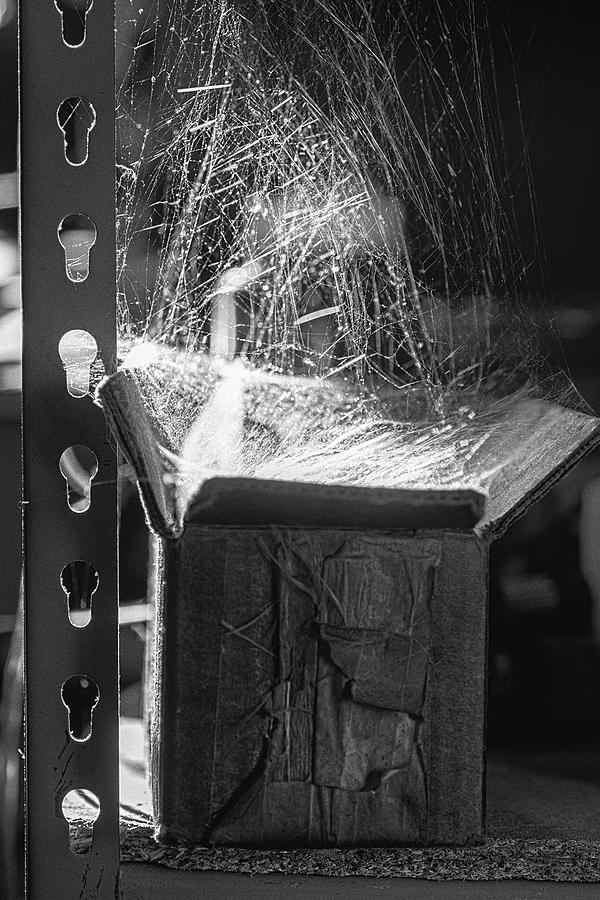 Web In A Box Photograph by Sue Capuano