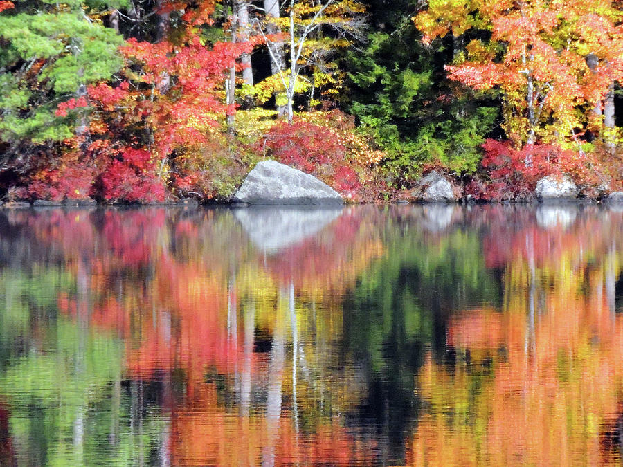 Webster Lake Foliage Photograph by Bill Cain