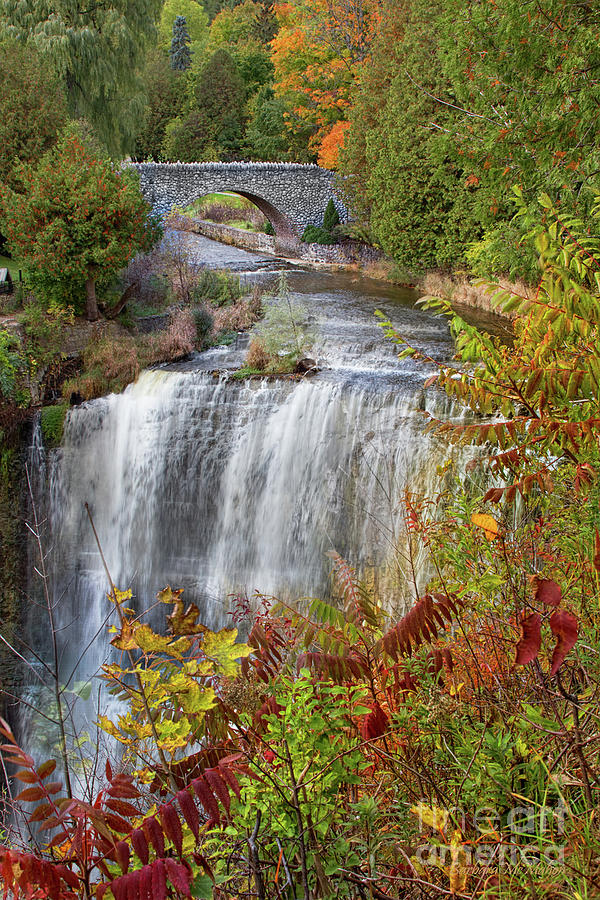 Websters Falls in Autumn  Dundas Ontario Photograph by Barbara McMahon