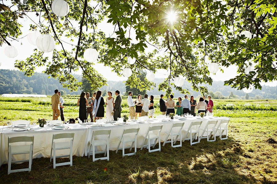 Wedding party having appetizers in field Photograph by Thomas Barwick