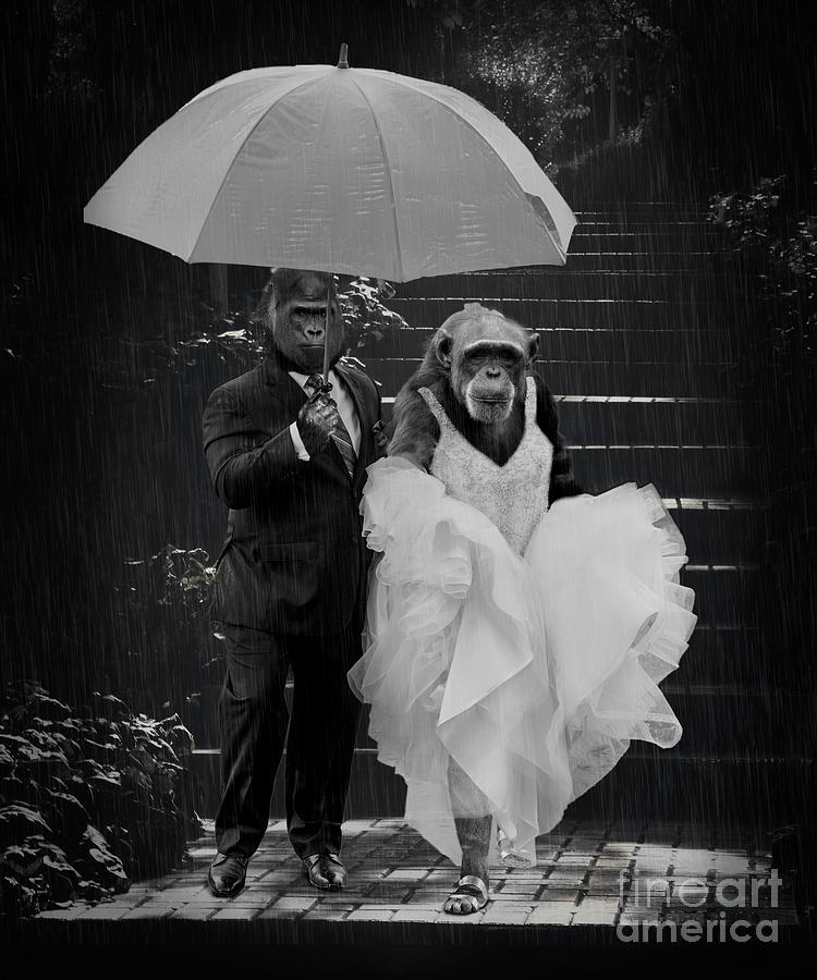 Wedding Rain or Shine Mixed Media by Ed Taylor