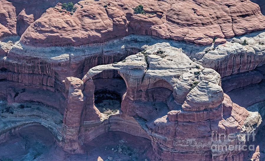 Wedding Ring Arch in the Needles District of Canyonlands National Park Photograph by David Oppenheimer