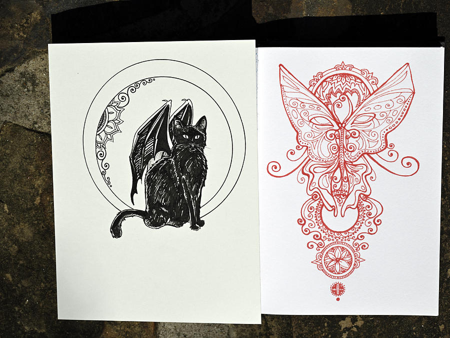 Wednesday drawings - Cat and Butterfly Photograph by Katherine Nutt