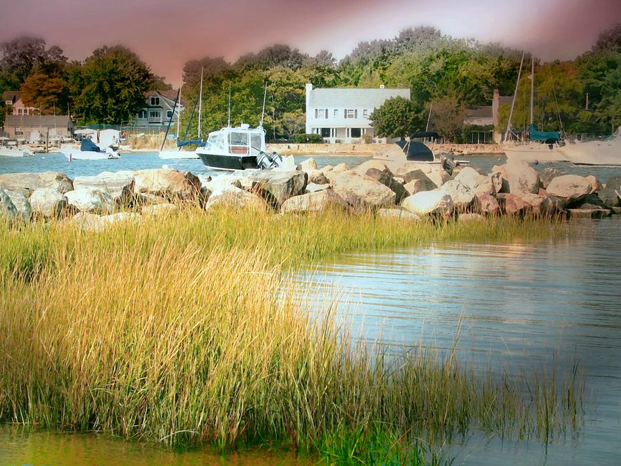Weed Beach Darien Photograph by Diana Angstadt
