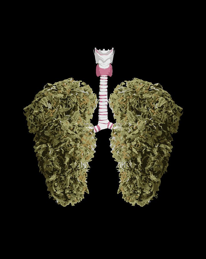 Weed Lungs Shirt Funny Marijuana Thc Weed Lung Bud Stoner Digital Art ...