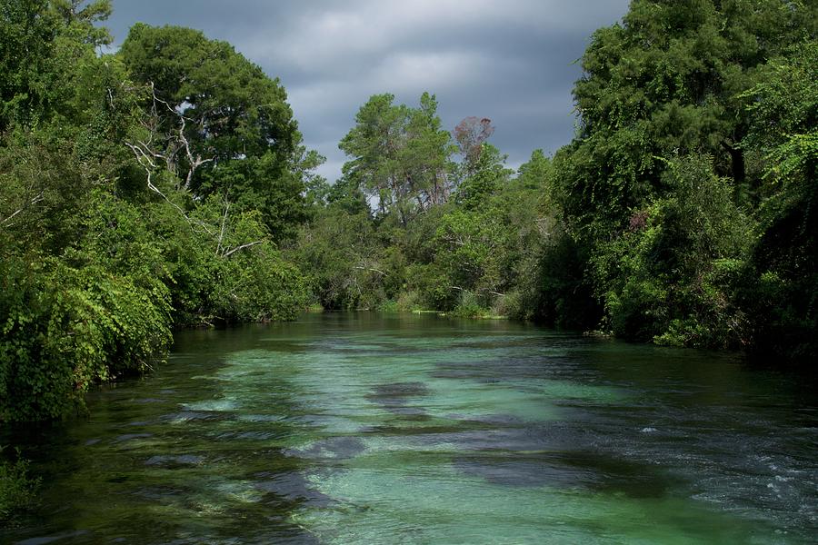 Weeki Wachee Photograph by Kaela Mitchell - Fine Art America