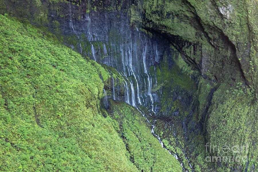 Weeping Wall of the Mount Waialeale Waterfalls in Kauai, Hawaii Photograph by Nancy Gleason