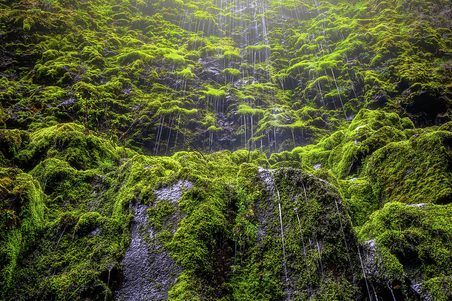 Waterfall Photograph - Weeping Walls by Darren White