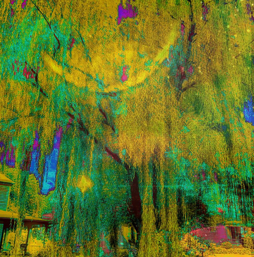 Weeping Willow On Willow Street Mixed Media by Abbie Loyd Kern