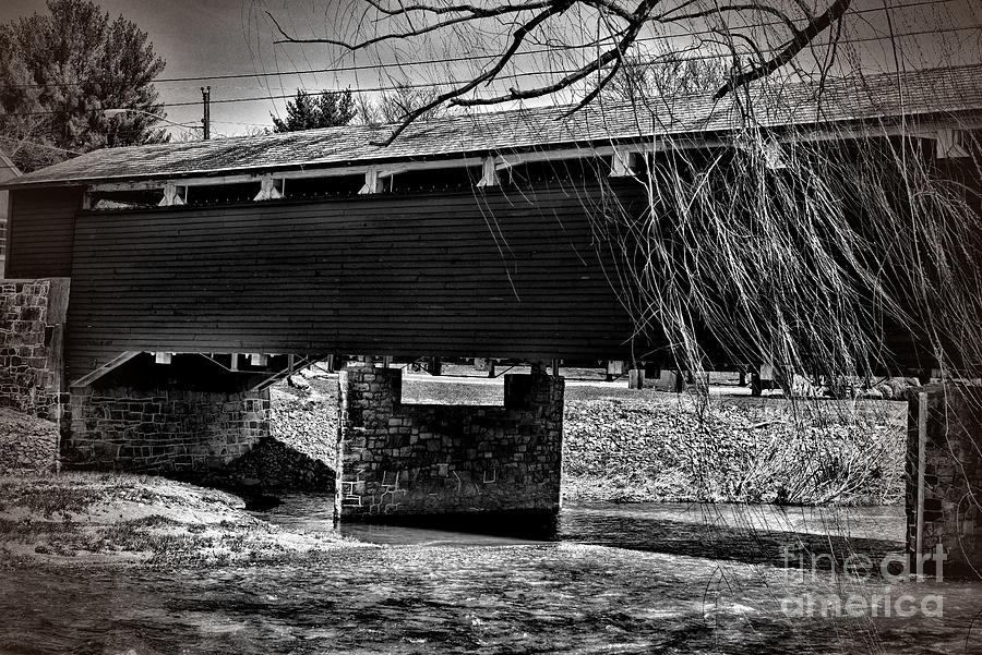Wehrs Covered Bridge and the Willow Tree black and white Photograph by Paul Ward