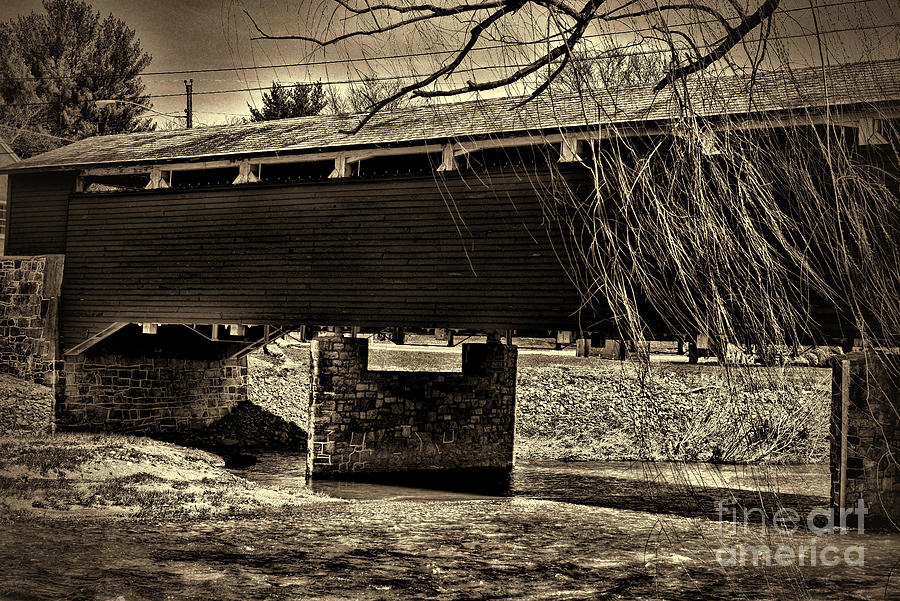 Wehrs Covered Bridge and the Willow Tree sepia Photograph by Paul Ward