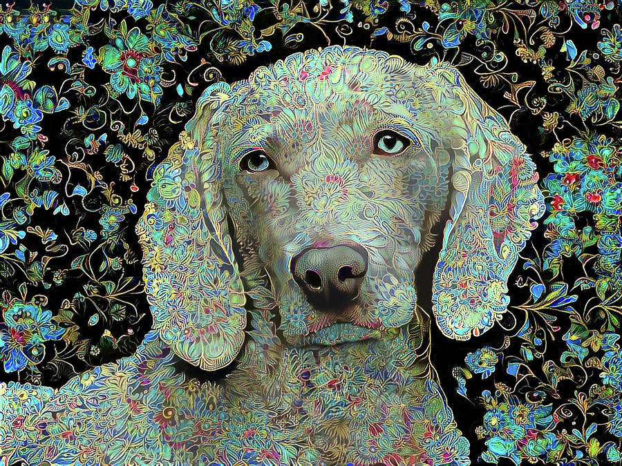 Weimaraner in Paisley Digital Art by Peggy Collins