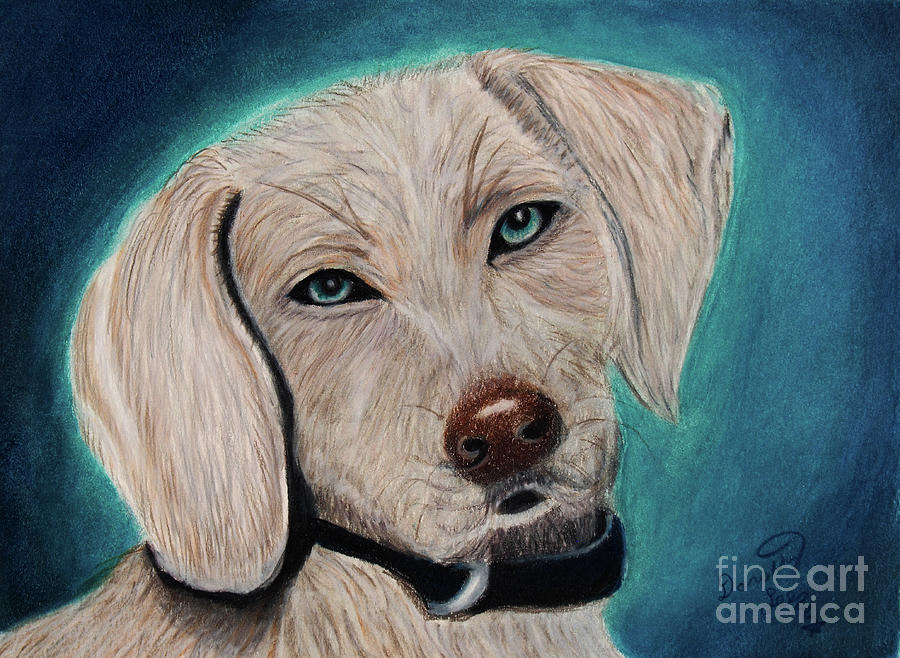 Weimaraner Puppy Painting by Dorothy Lee