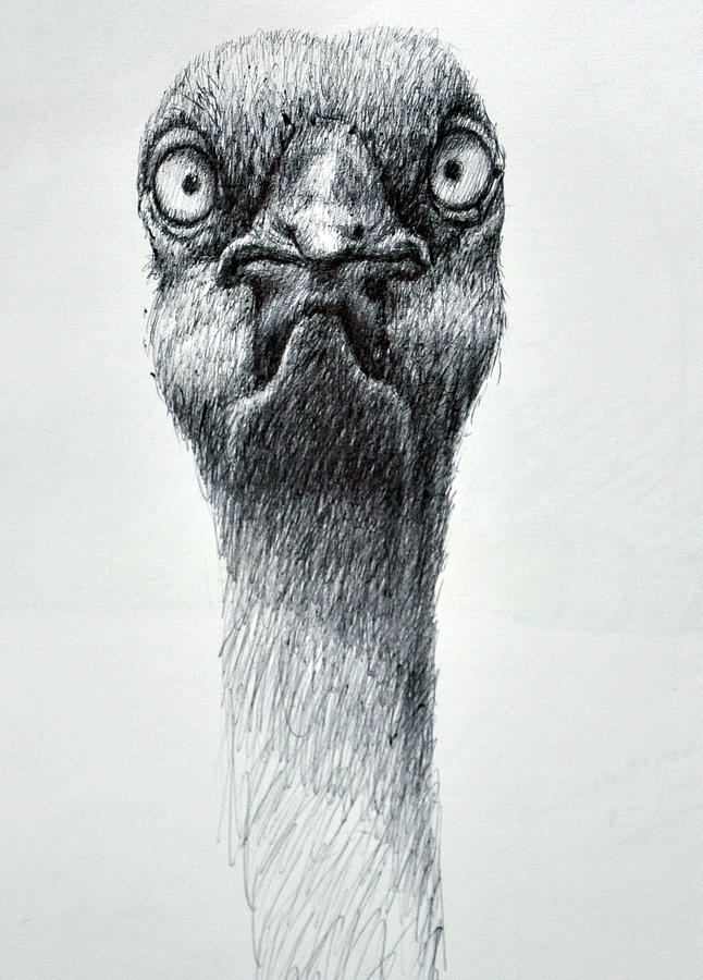Weird Eyed Bird Drawing by Rick Hansen