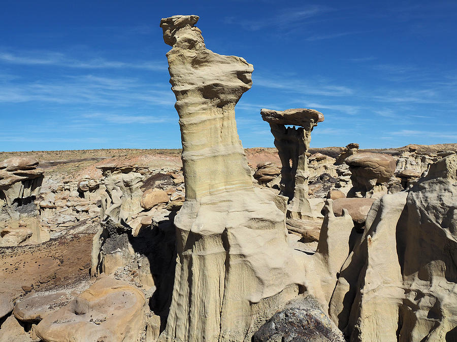 Weird Sandstone Formation at Ah-Shi-Sle-Pah Wilderness Study Area, NM Photograph by Federica Grassi
