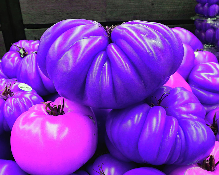 Weird Tomatoes Purple Photograph by Andrew Lawrence