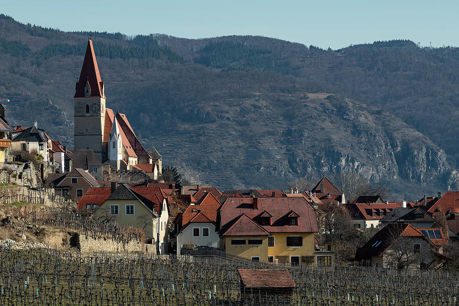 Weissenkirchen Wachau Austria On A Sunny Day In Winter Vineyards Photograph
