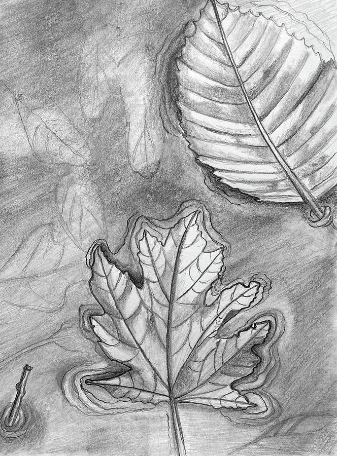 Weland Pond w Leaves and Twig 121523 Drawing by Mary Bedy