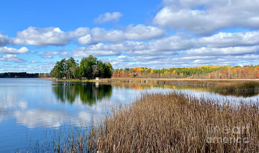 Nature Photograph - Welcome Home by Ann Brown Nature Photograph - Welcome Home by Ann Brown