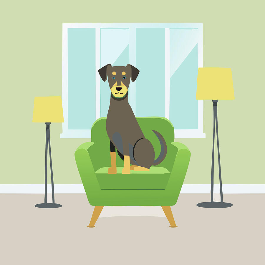 Welcome Home Dog In Chair Digital Art by Dan Sproul Welcome Home Dog In Chair Digital Art by Dan Sproul