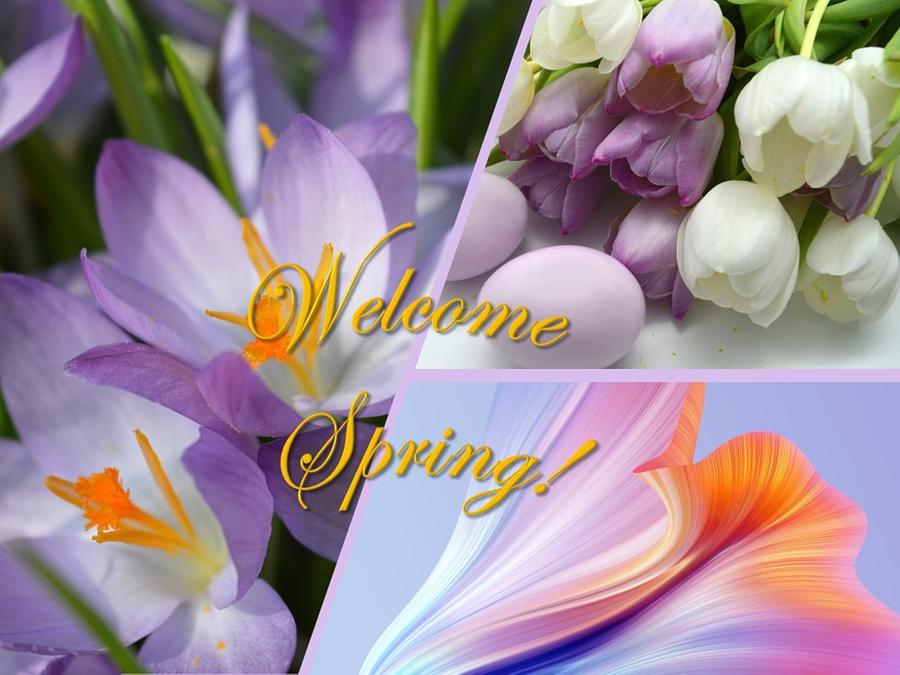 Welcome Spring Photograph by Nancy Ayanna Wyatt