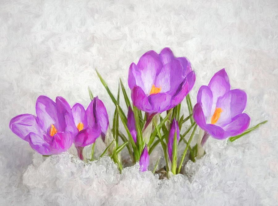 Welcome Spring Digital Art by Susan Hope Finley