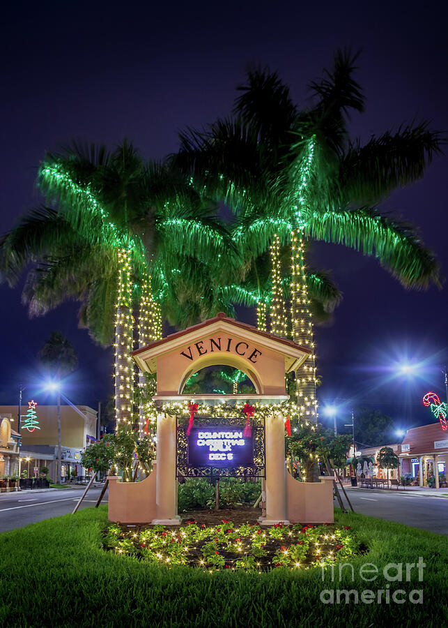 to Christmas in Venice, Florida Photograph by Liesl Walsh Pixels