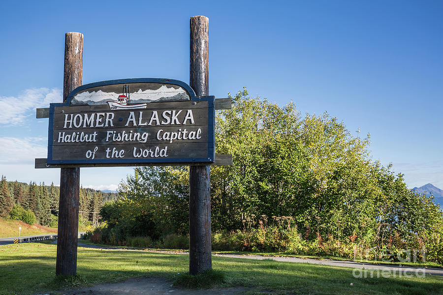 Welcome to Homer,Alaska Photograph by Eva Lechner