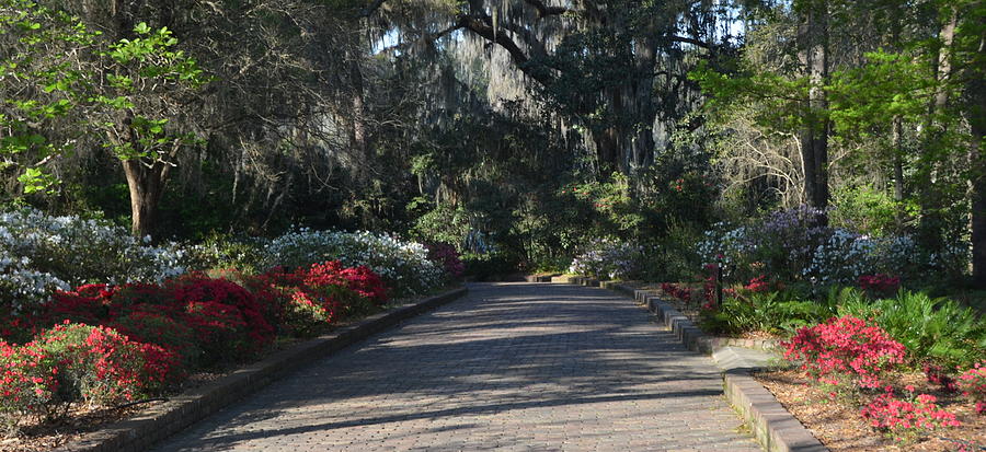 Welcome To Maclay Gardens Photograph