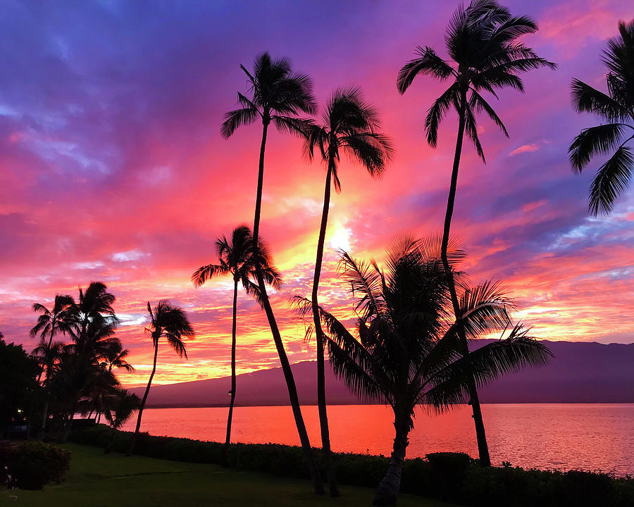 Welcome To Maui Photograph by Angie Hamlin - Fine Art America