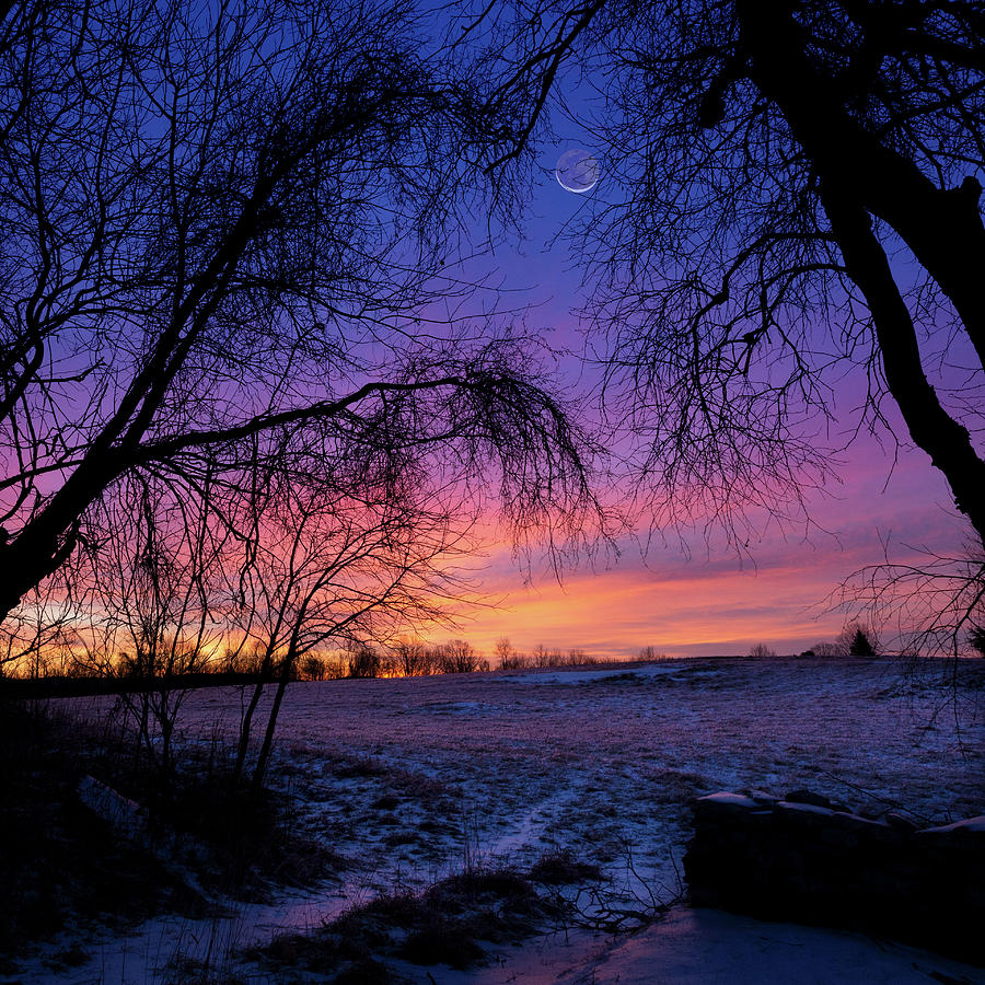 Welcome to Morning Photograph by Bill Wakeley