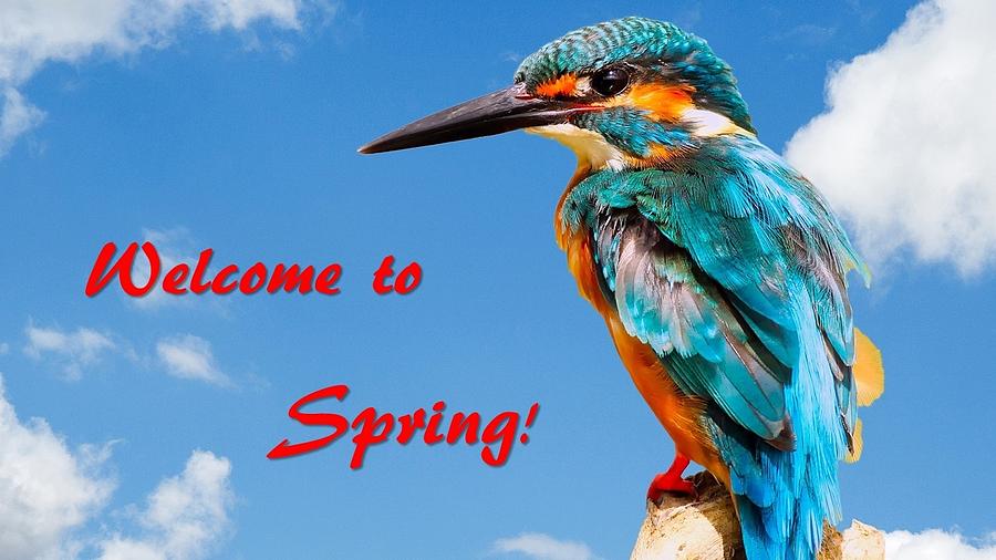 Welcome to Spring Photograph by Nancy Ayanna Wyatt