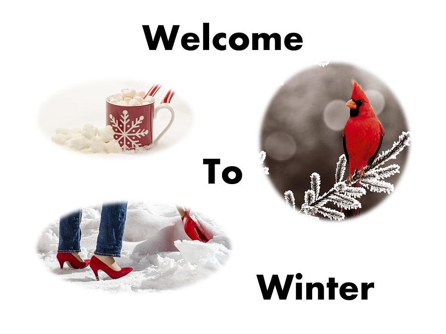 Welcome To Winter Mixed Media by Nancy Ayanna Wyatt