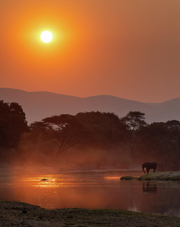 Welcome to Zambia Photograph by Max Waugh