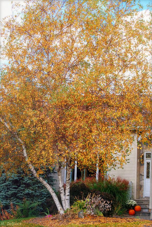 Welcoming Autumn Entrance Photograph by Marilyn DeBlock - Fine Art America