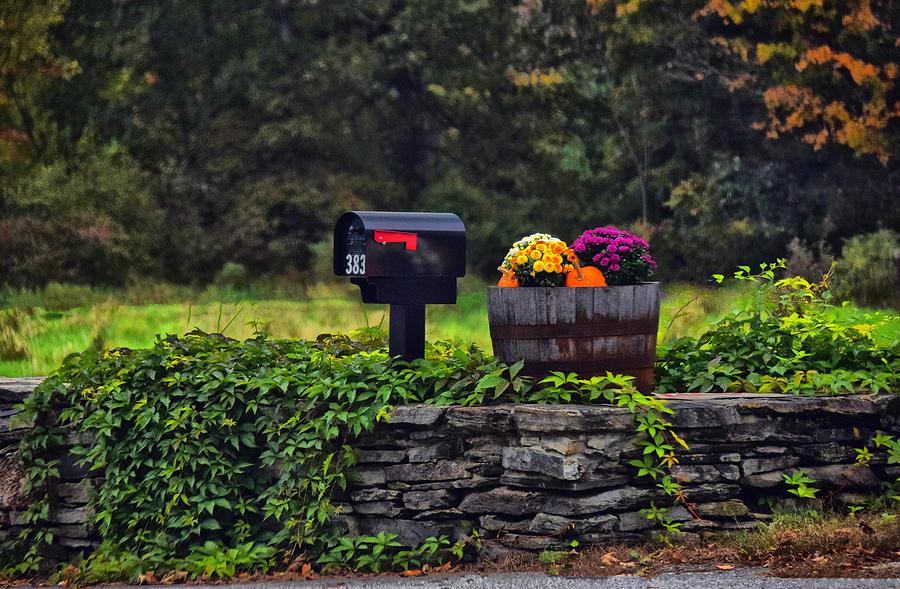 Welcoming Fall Photograph by Tricia Marchlik
