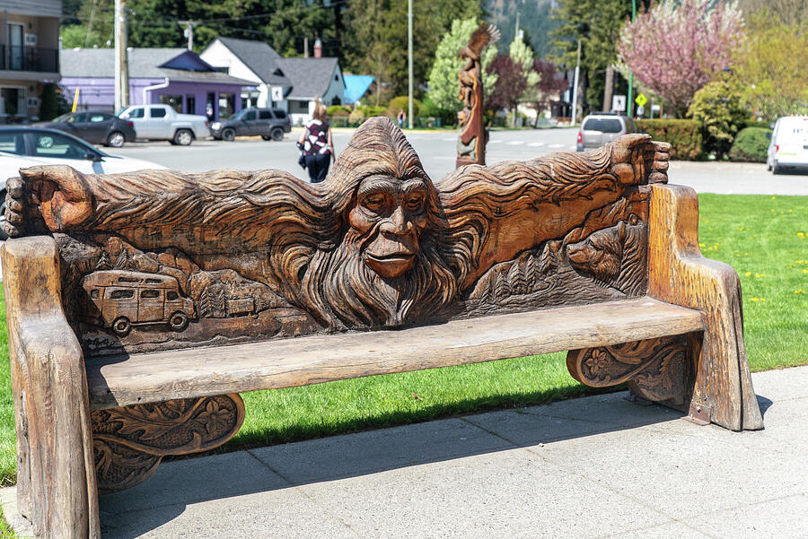 Welcoming Sasquatch Bench Photograph by Tom Cochran